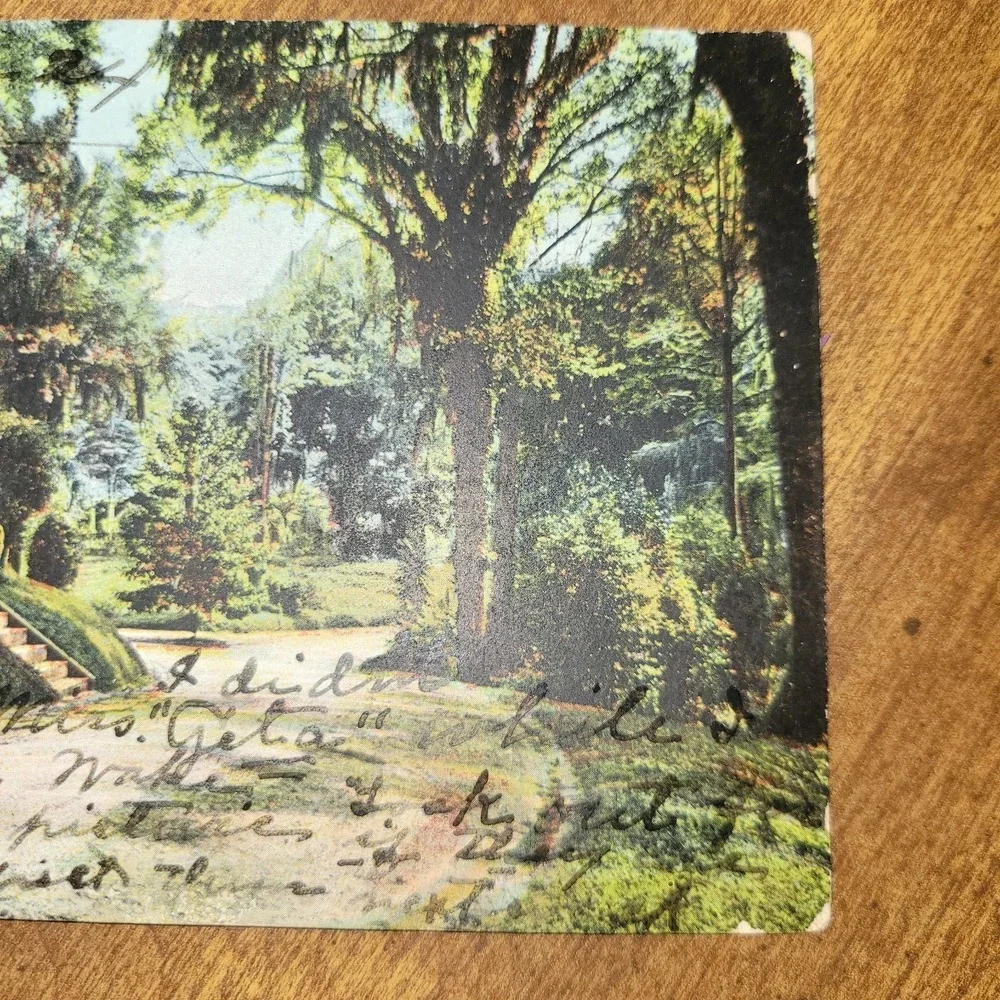 Antique 1907‎ Wilmington NC Oakdale Cemetery Drive Postcard Posted Green 1c...